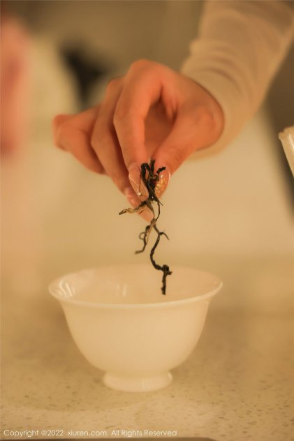 2021可以在线看的网址海报